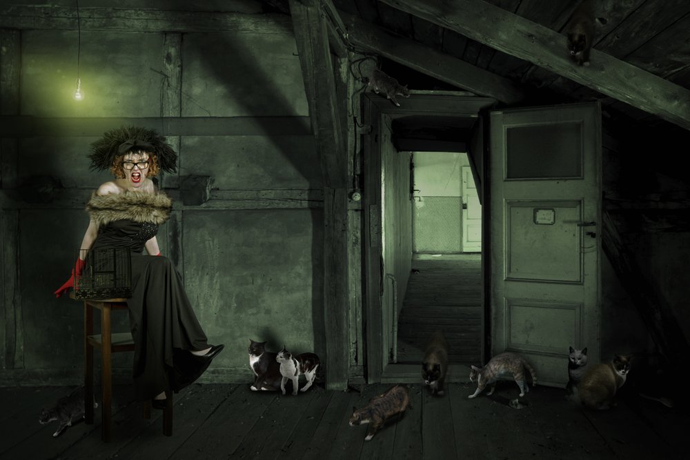 Eccentric Woman In Attic by Christine von Diepenbroek