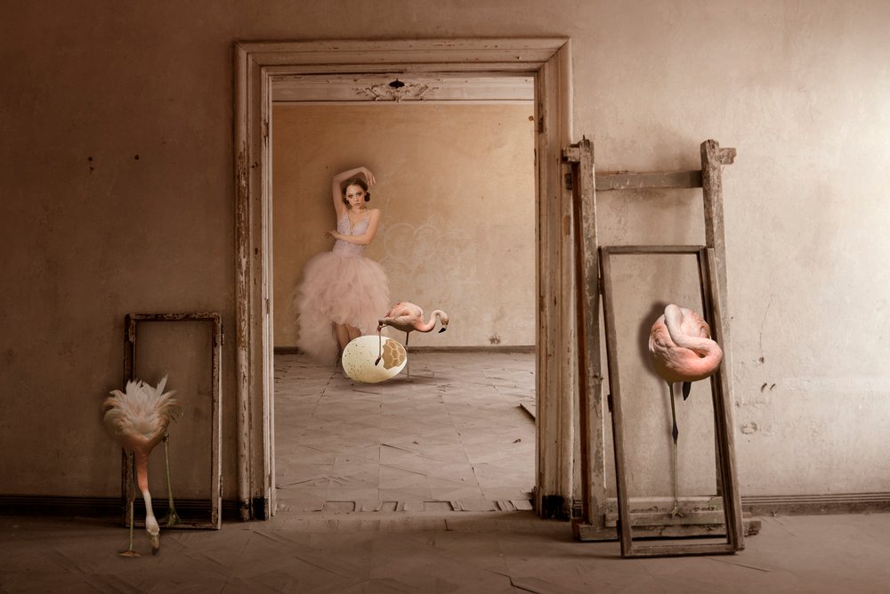 Flamingo Ballet Dream by Christine von Diepenbroek