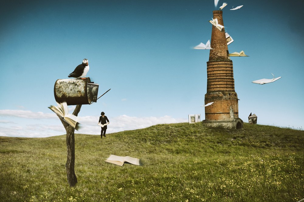 Puffin Flying Books by Christine von Diepenbroek