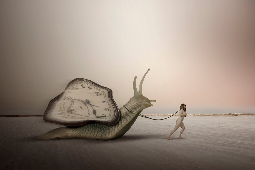 Slowness of Time by Christine von Diepenbroek