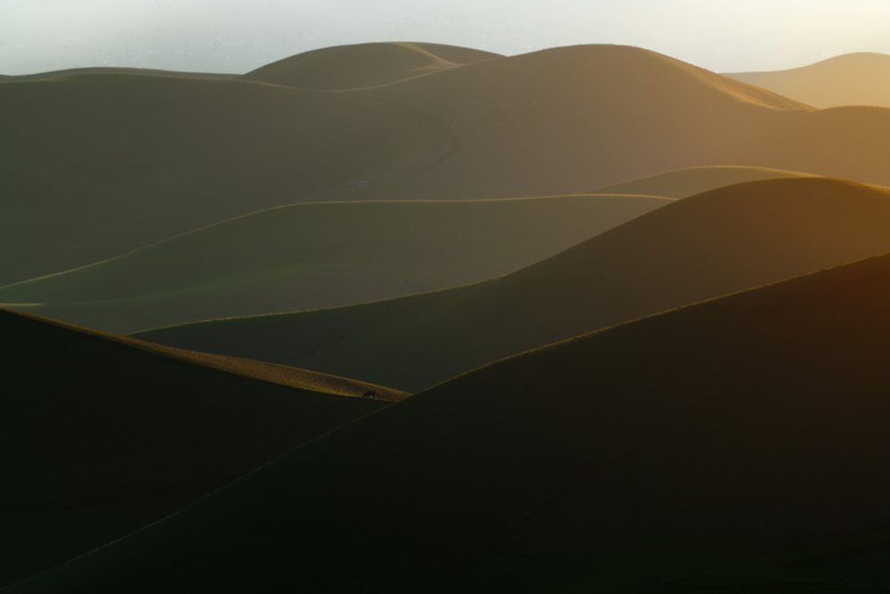 Golden Rolling Hills by Chuanxu Ren