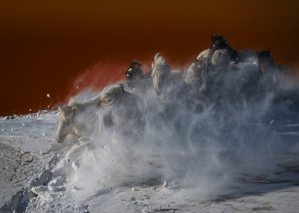 White Horses Blizzard by Chuanxu Ren