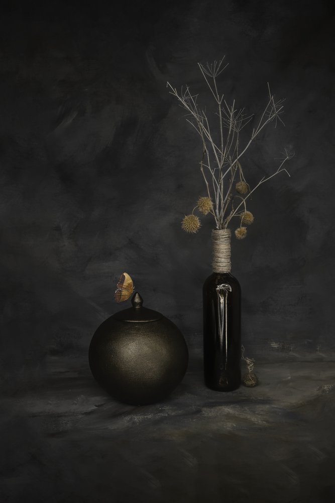 Butterfly and Dried Botanicals by Cicek Kiral
