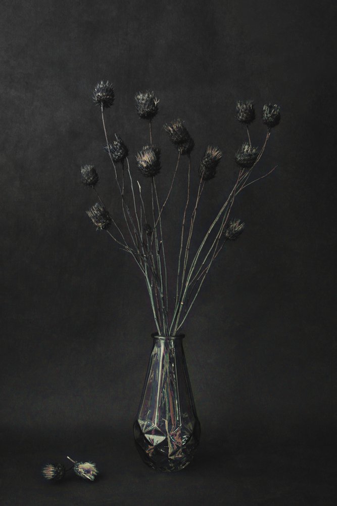 Dark Botanical Still Life by Cicek Kiral