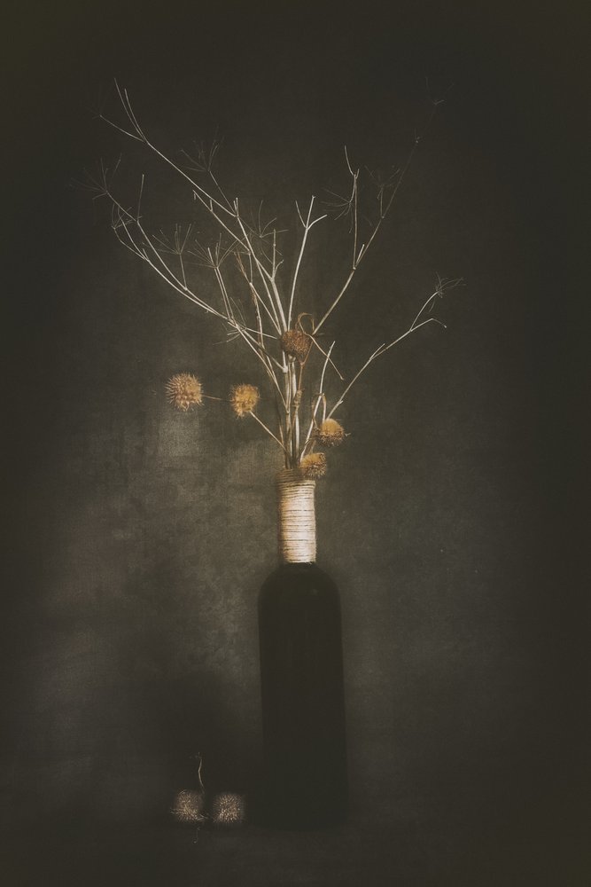 Dark Botanical Still Life by Cicek Kiral