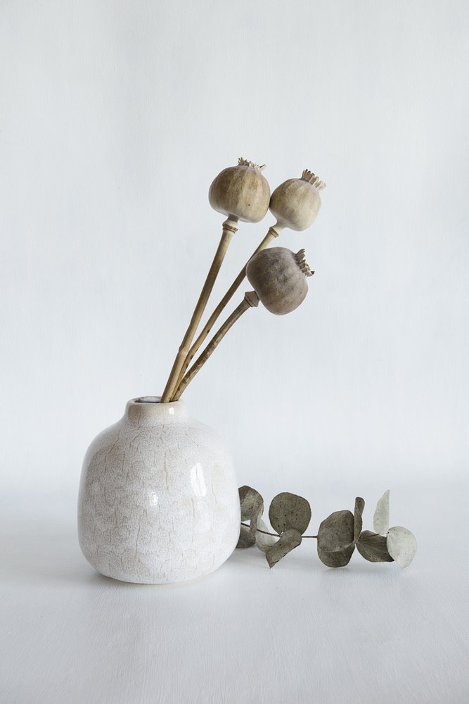 Dried Poppy Pods Vase by Cicek Kiral