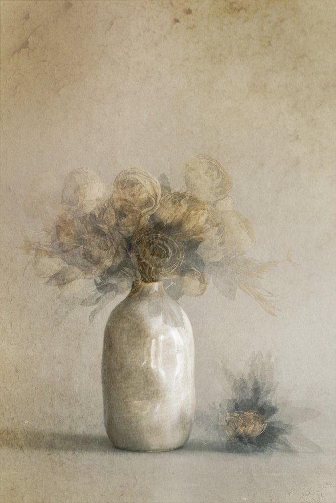 Ethereal Dried Flowers by Cicek Kiral
