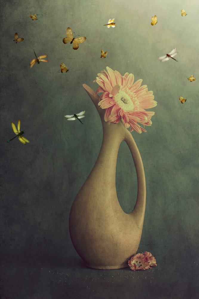 Gerbera Vase And Flight by Cicek Kiral