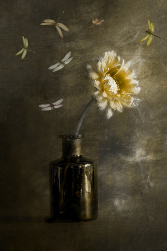 Golden Bloom Dragonflies by Cicek Kiral