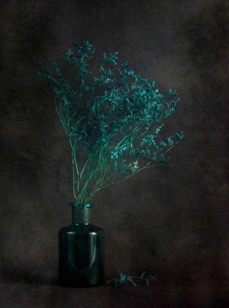 Moody Botanical Still Life by Cicek Kiral