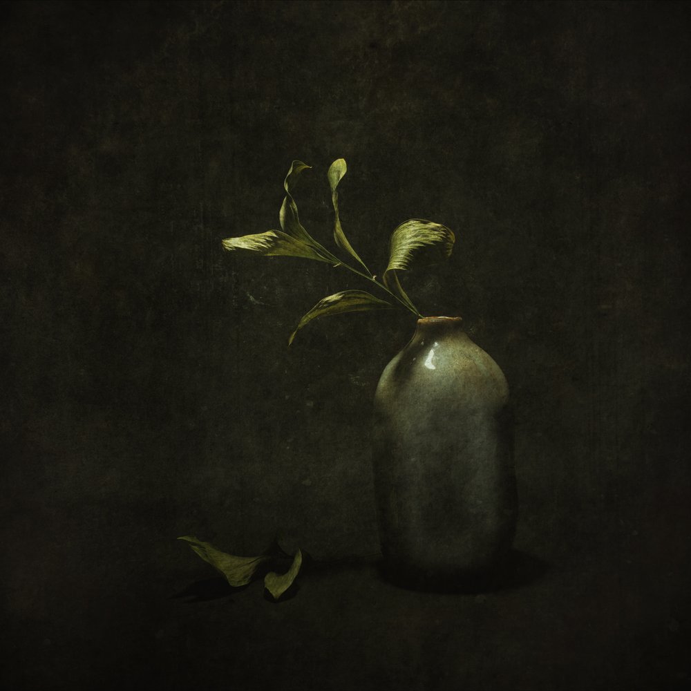Moody Botanical Still Life by Cicek Kiral