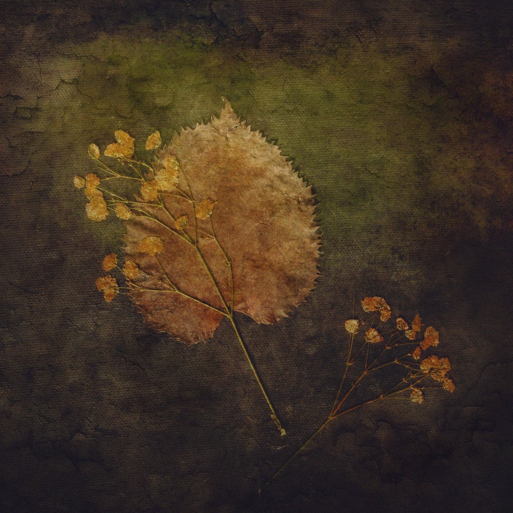 Rustic Autumn Botanicals by Cicek Kiral