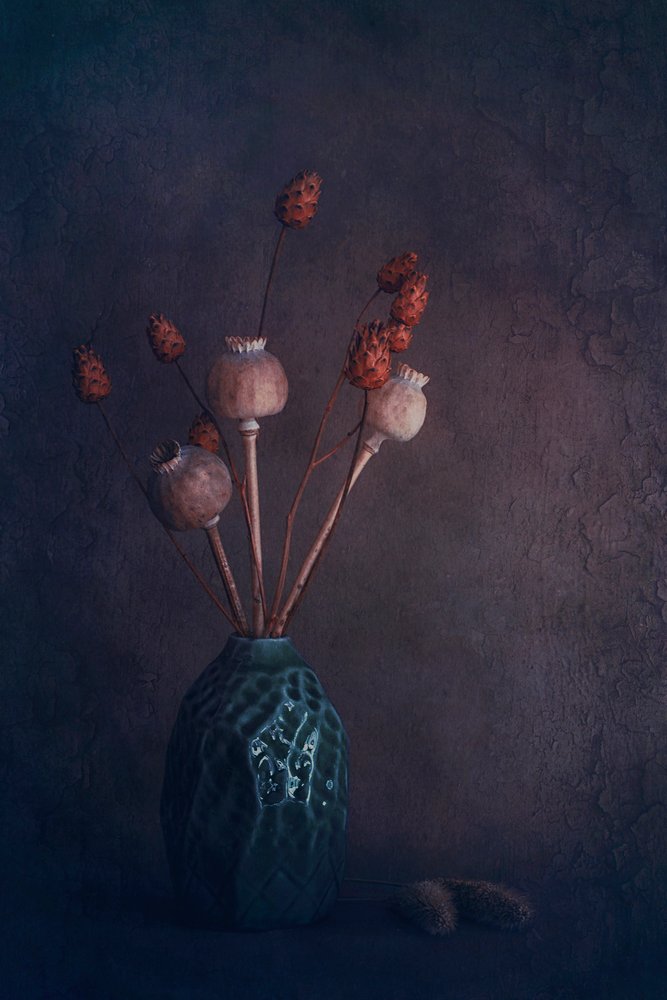 Rustic Pods Still Life by Cicek Kiral
