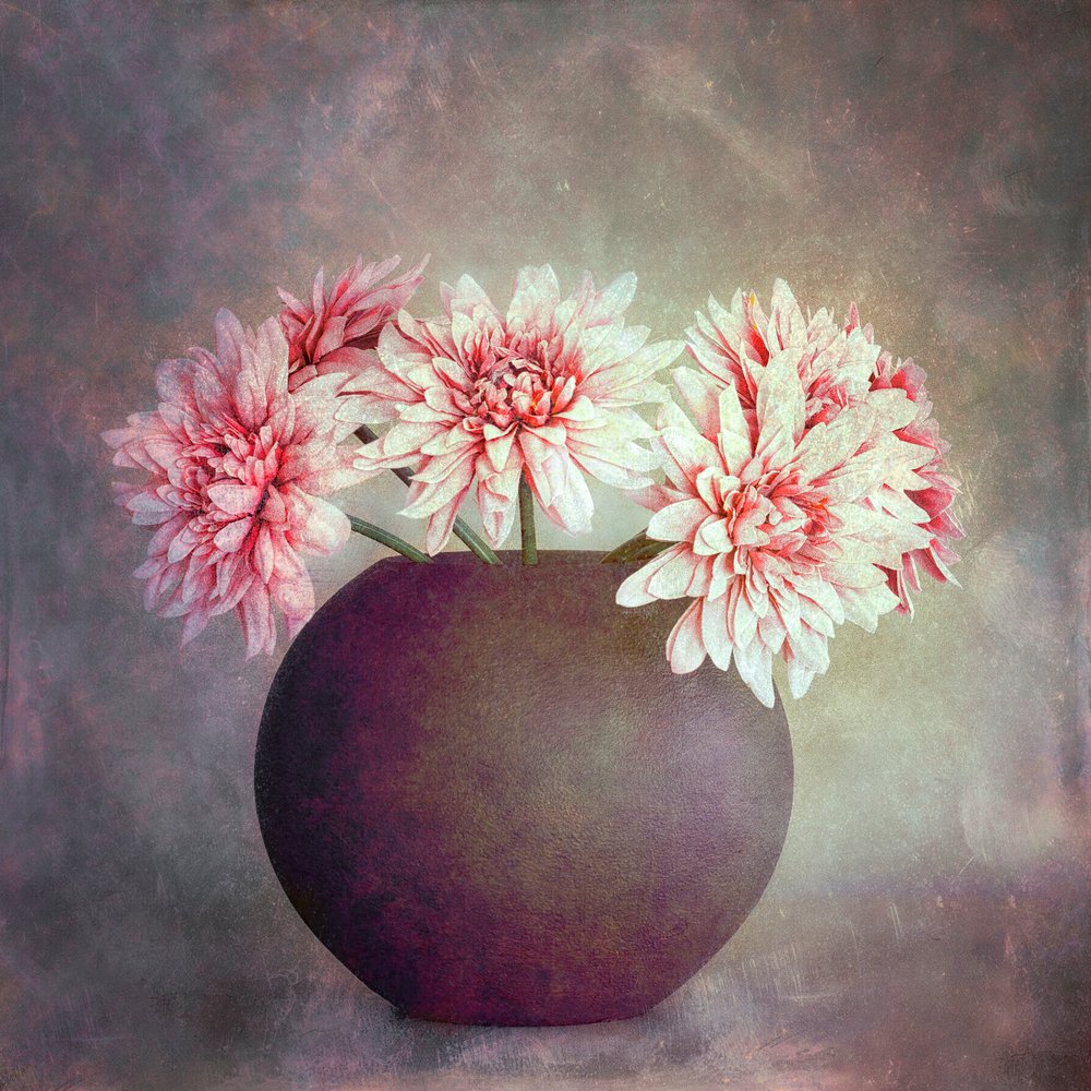 Soft Pink Floral Still Life by Cicek Kiral