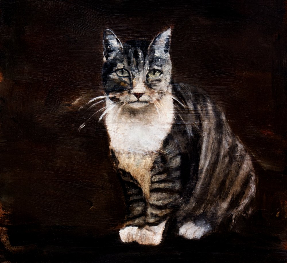 Elegant Tabby Cat by Claire Lerner