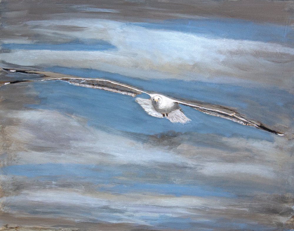 Serene Seagull Flight by Claire Lerner