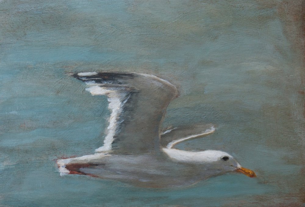 Soaring Seagull by Claire Lerner