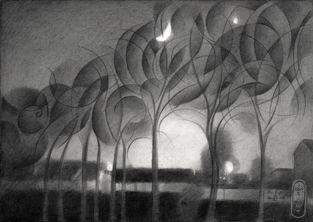 Crescent Moon Night by Corné Akkers