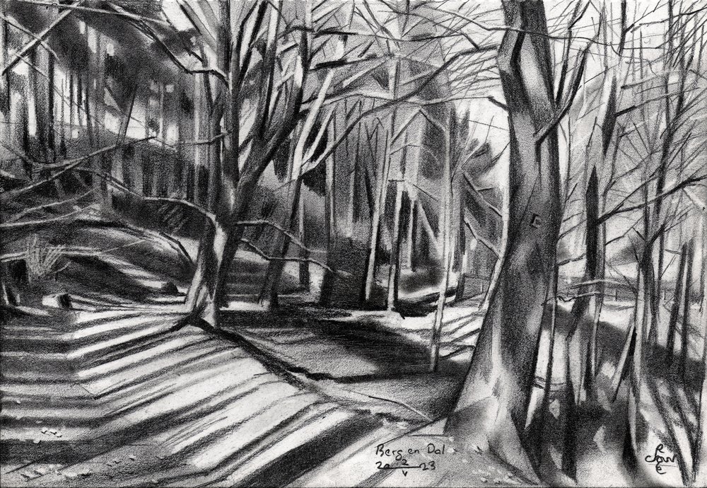 Forest Path Shadows by Corné Akkers