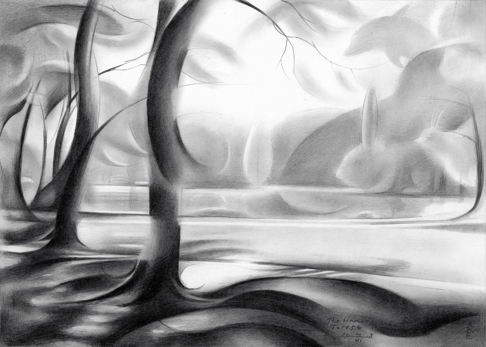 Mystical Forest Reflection by Corné Akkers