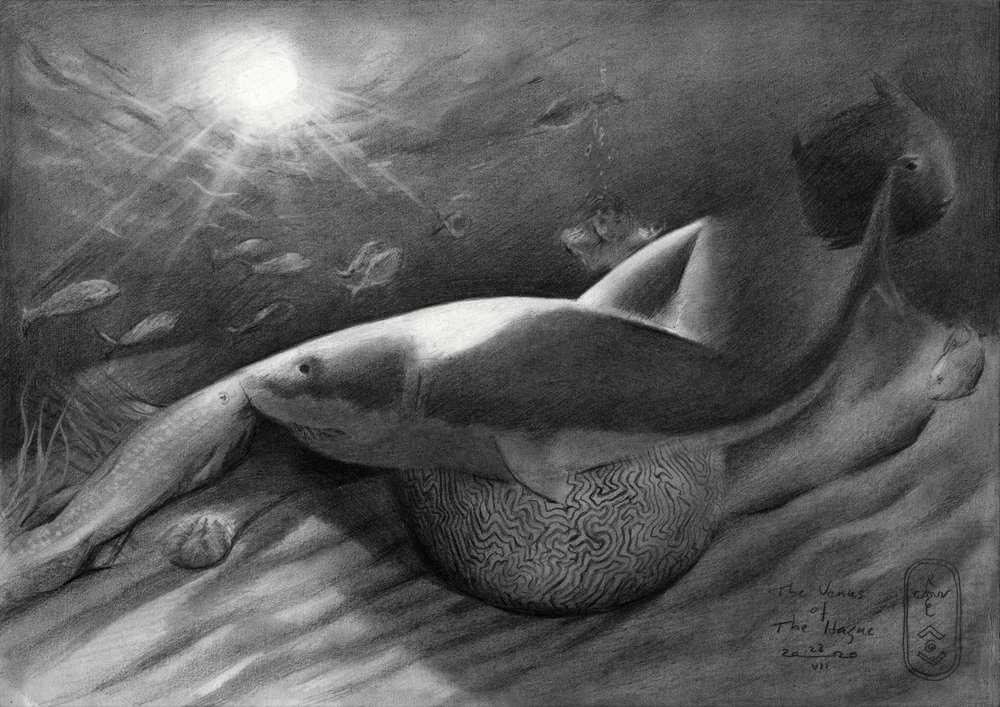 Shark and Siren by Corné Akkers
