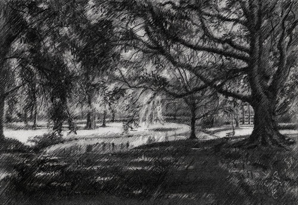 Sunlit Park Path by Corné Akkers