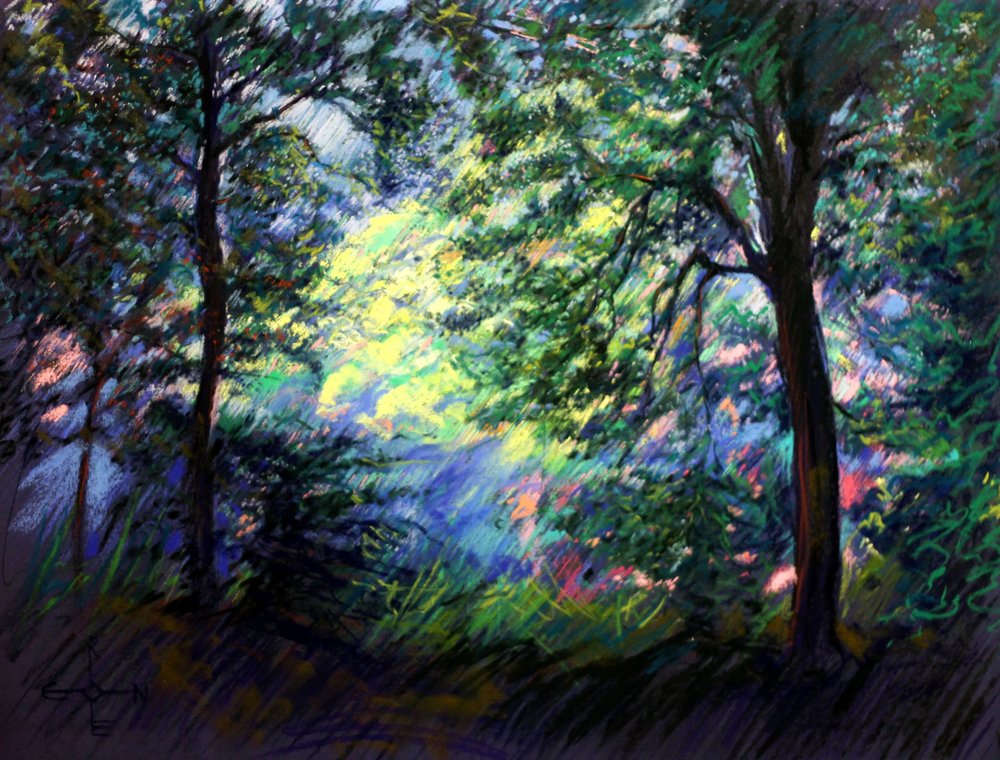 Vibrant Forest Light by Corné Akkers