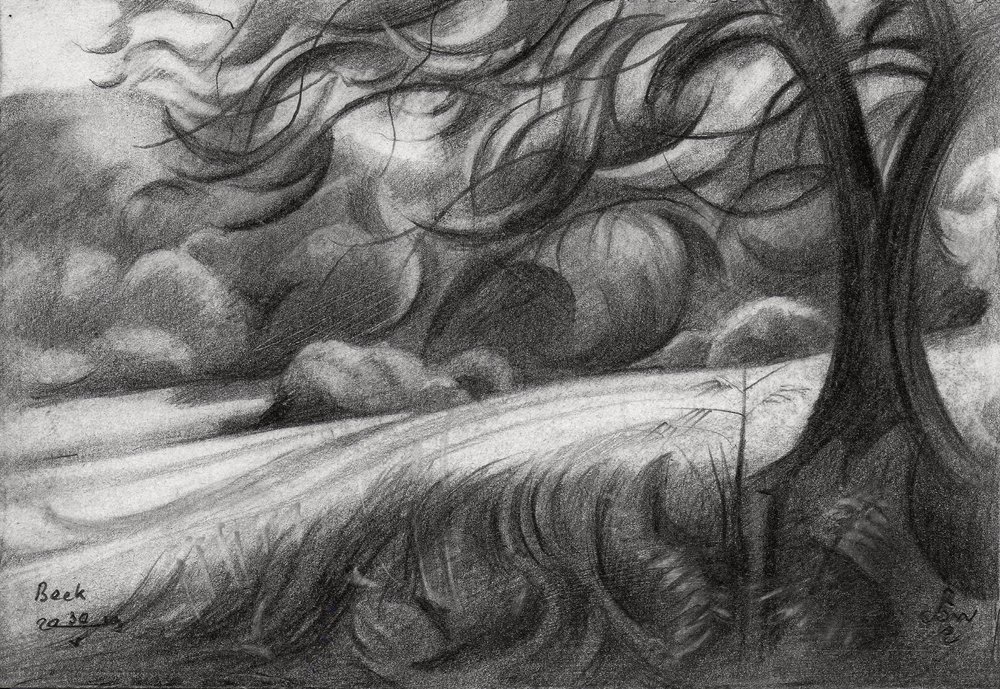 Winding Tree Path by Corné Akkers