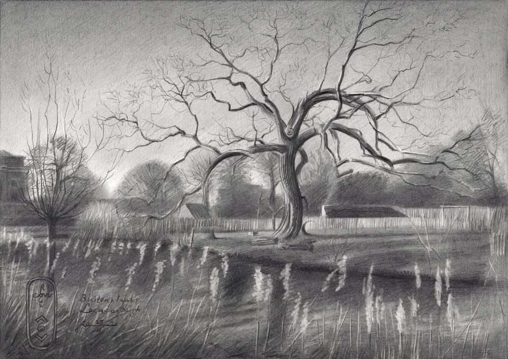Winter Tree Reflections by Corné Akkers