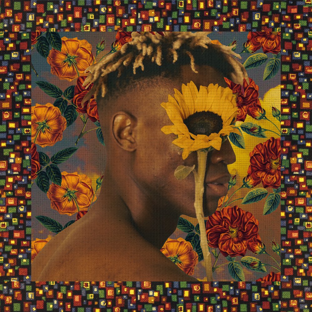 Vibrant Sunflower Portrait by CosmoZach