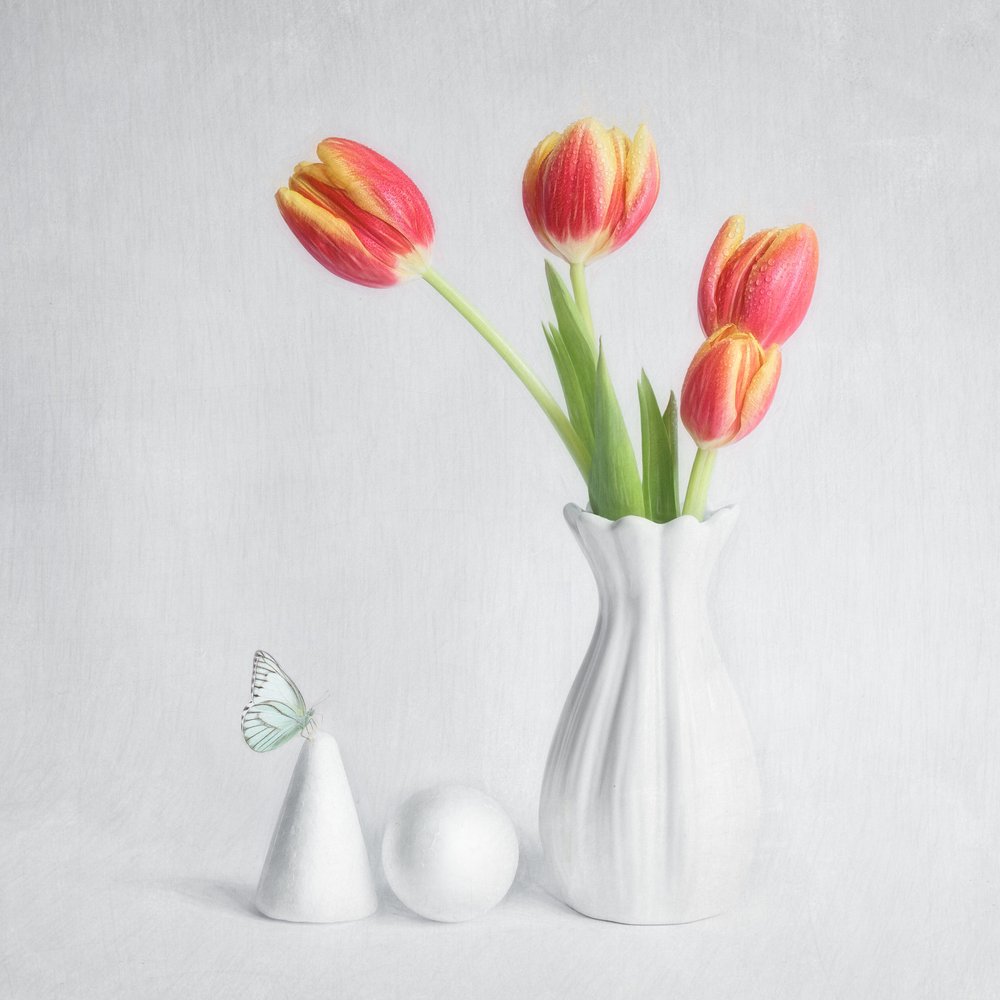 Spring Tulips Butterfly by Cristiano Giani