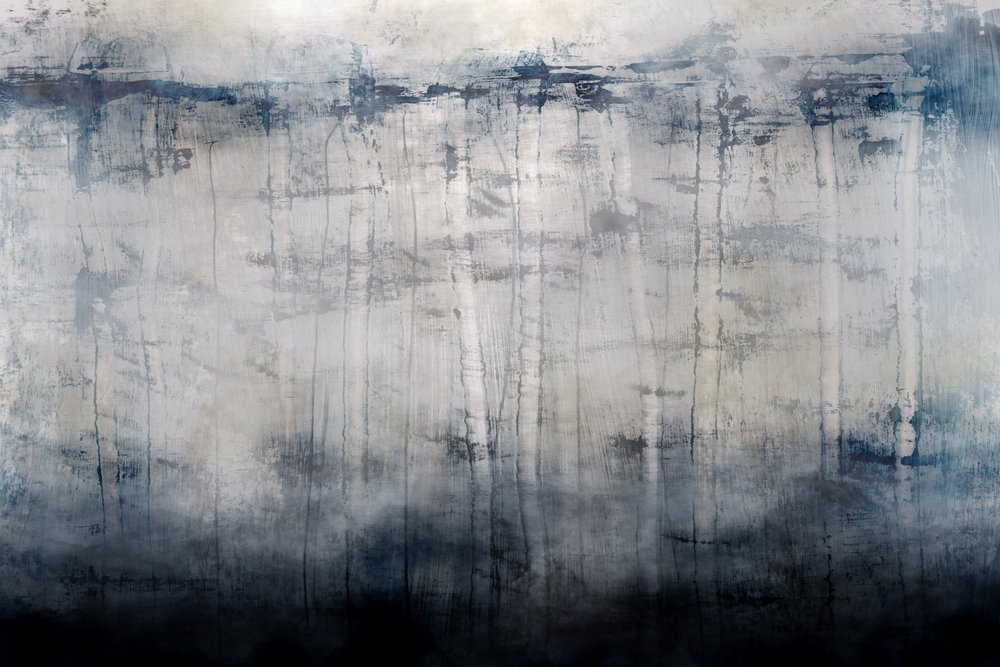 Birch Mist by Dan Hobday