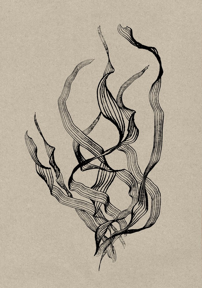 Delicate by Dan Hobday