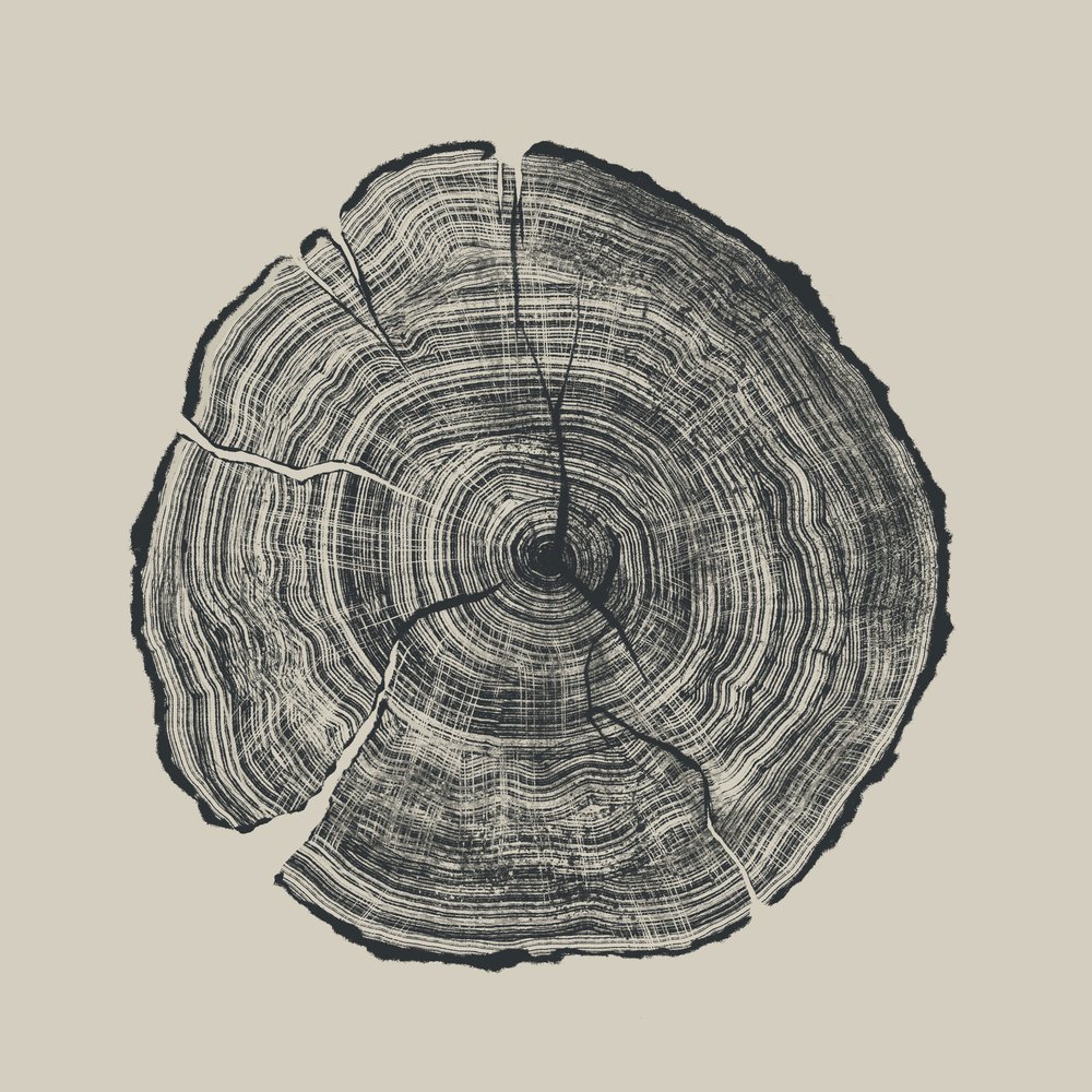 Hand Drawn Oak by Dan Hobday