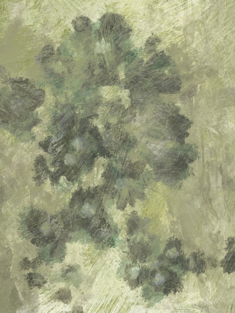 Misty Flowers 2 by Dan Hobday