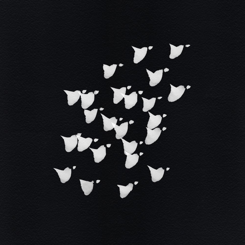 Abstract Bird Flight by Danushka Abeygoda