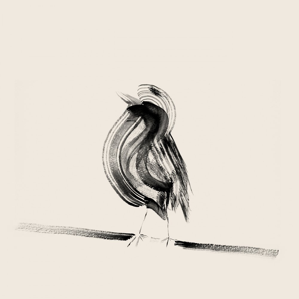 Elegant Ink Bird by Danushka Abeygoda