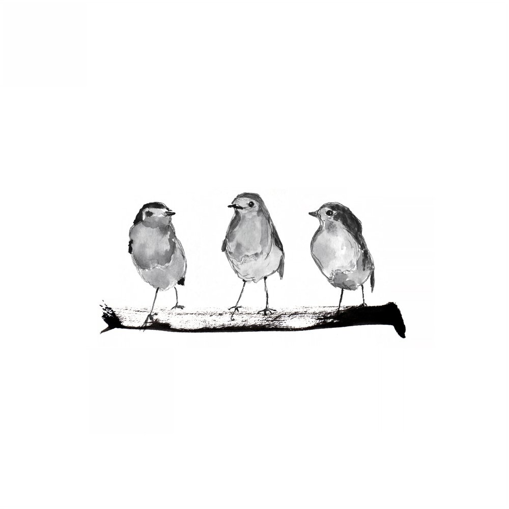 Little Birds On Branch by Danushka Abeygoda