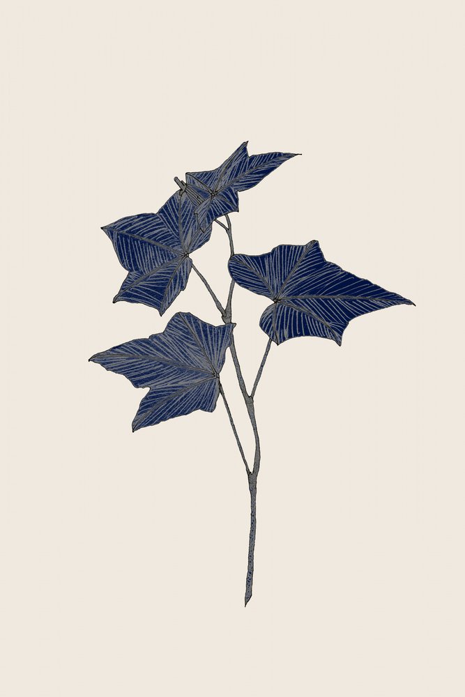 Navy Botanical Branch by Danushka Abeygoda