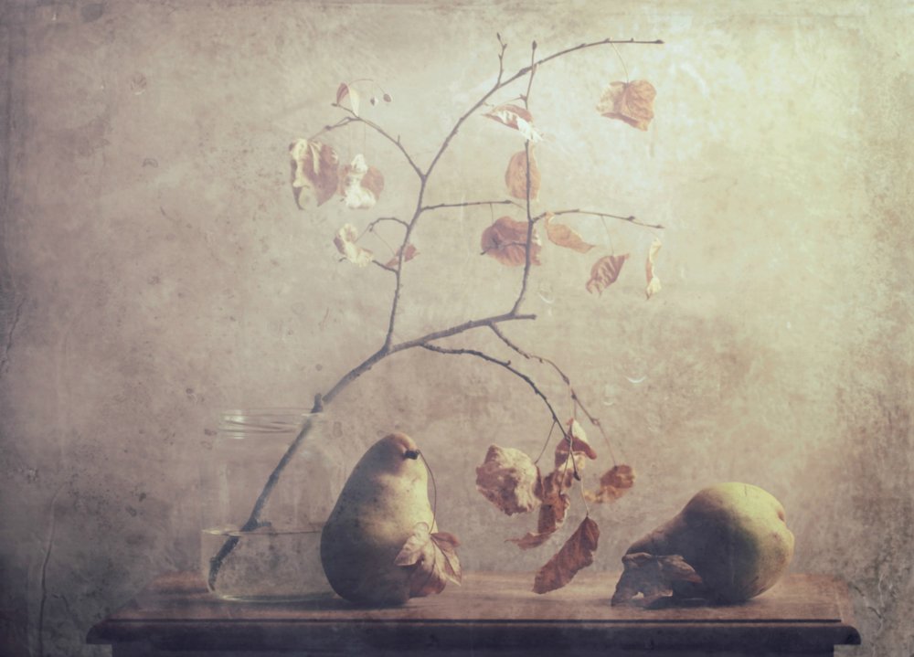 Autumn Pear Still Life by Delphine Devos