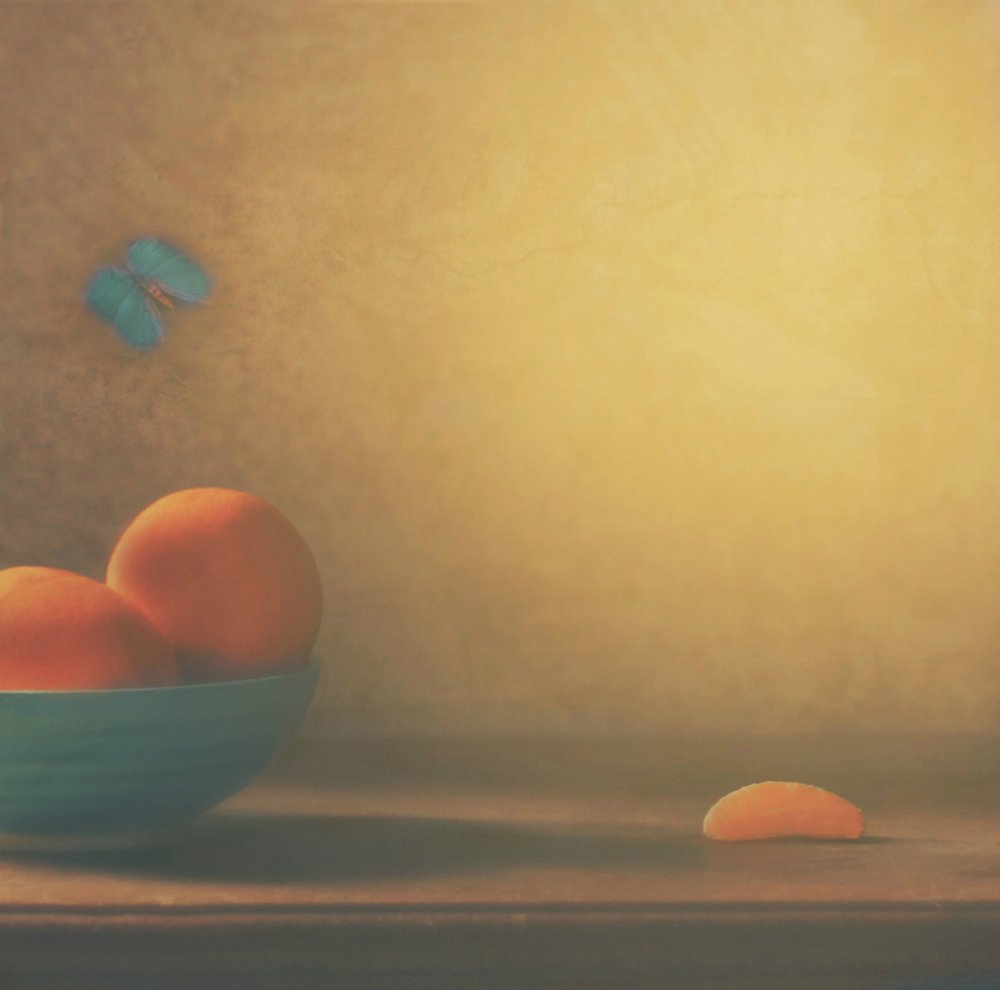 Citrus Bowl And Butterfly by Delphine Devos
