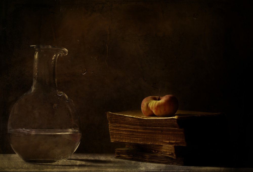 Classic Moody Still Life by Delphine Devos