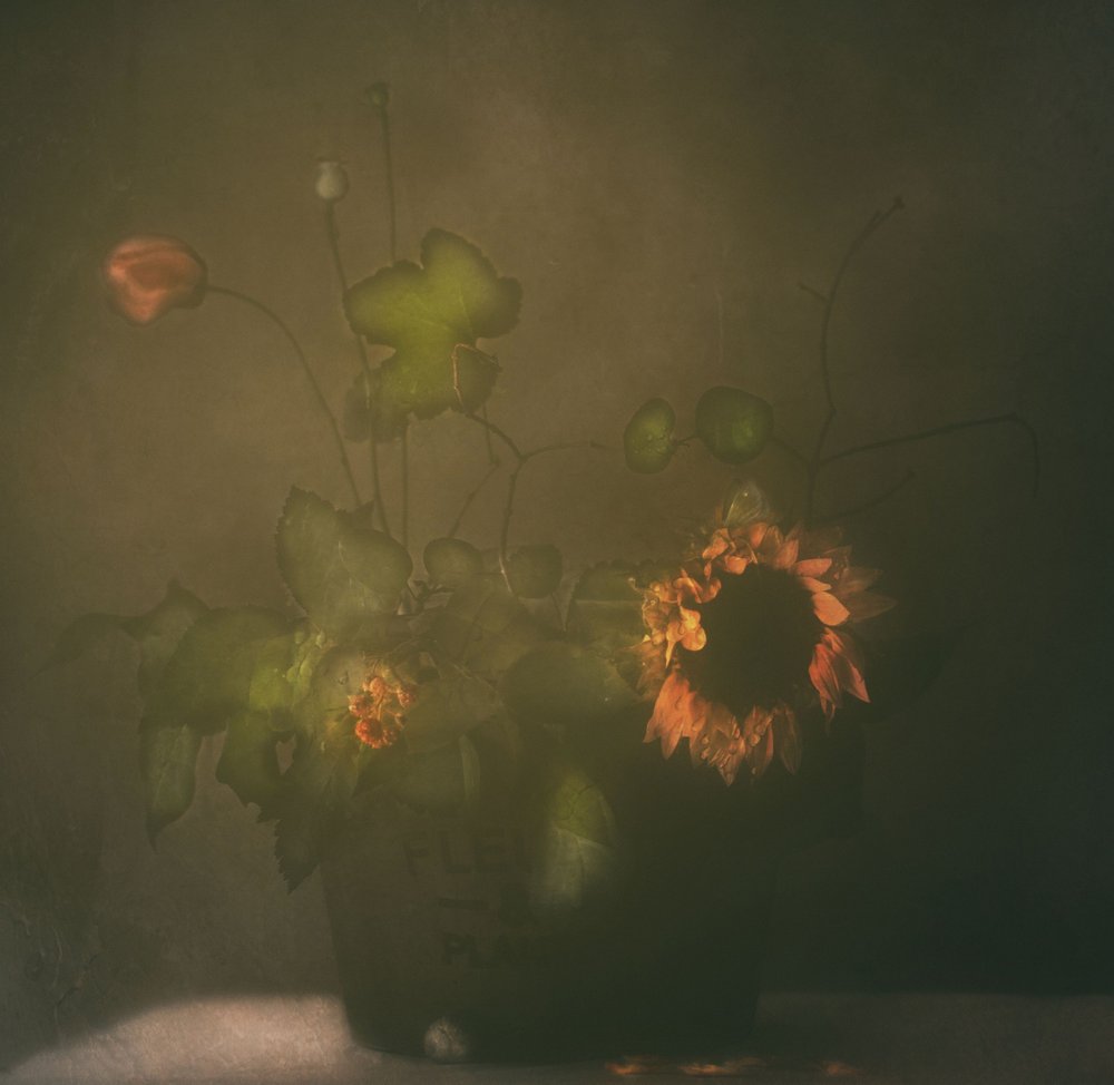 Dark Botanical Still Life by Delphine Devos
