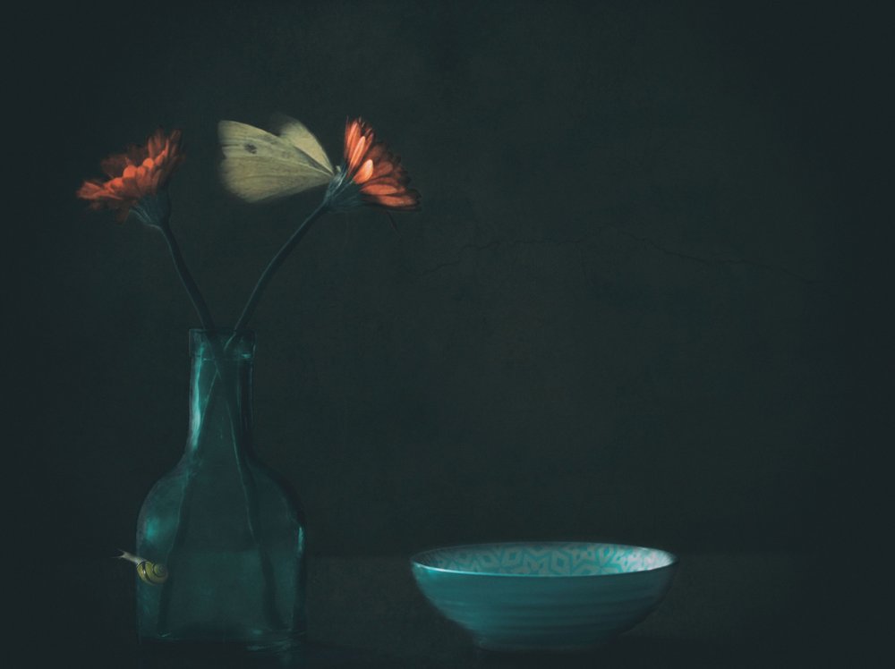 Dark Floral Butterfly by Delphine Devos