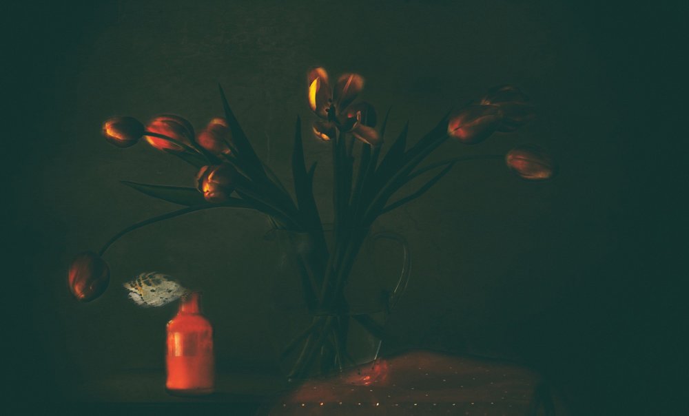 Dark Moody Tulips by Delphine Devos