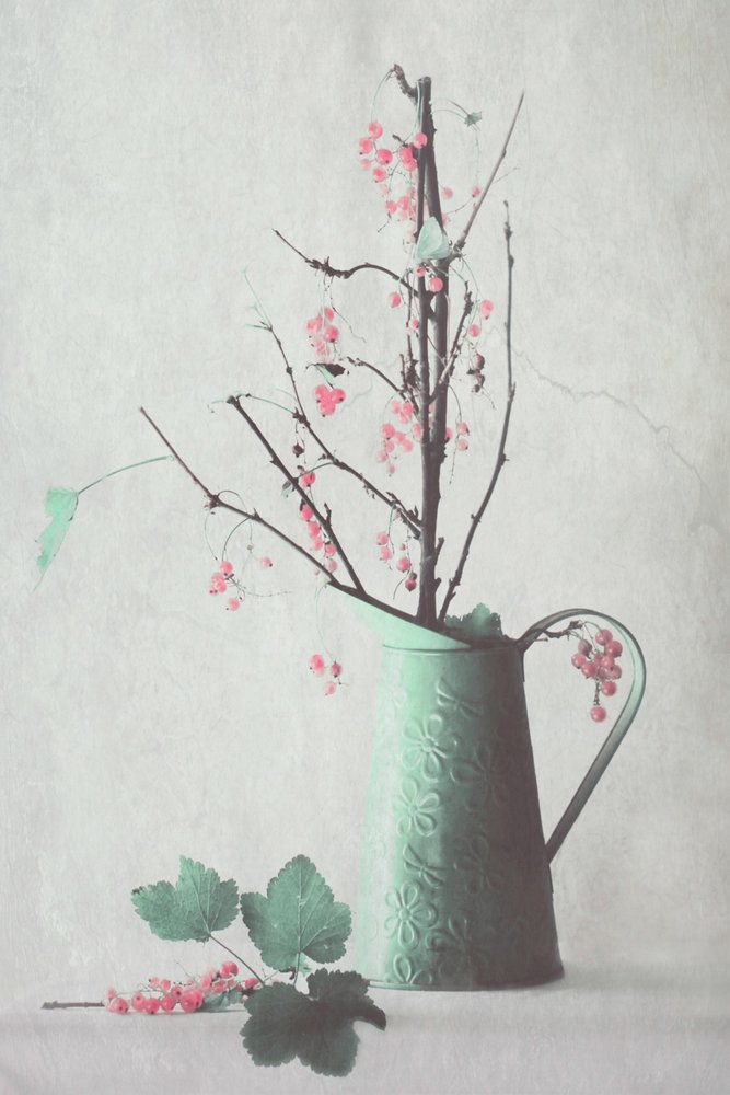 Delicate Berry Still Life by Delphine Devos