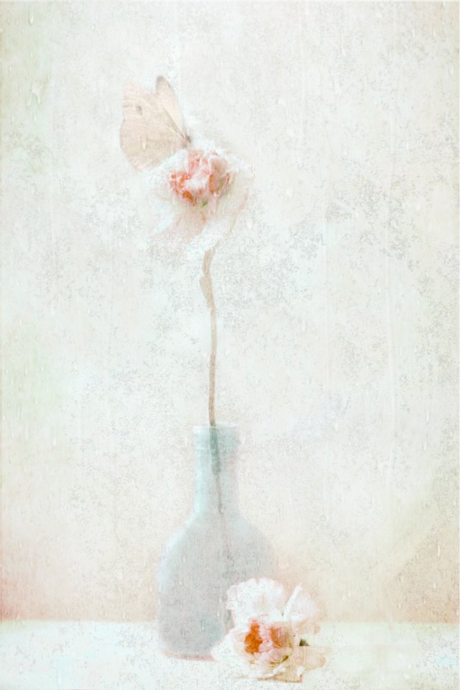 Delicate Butterfly Bloom by Delphine Devos