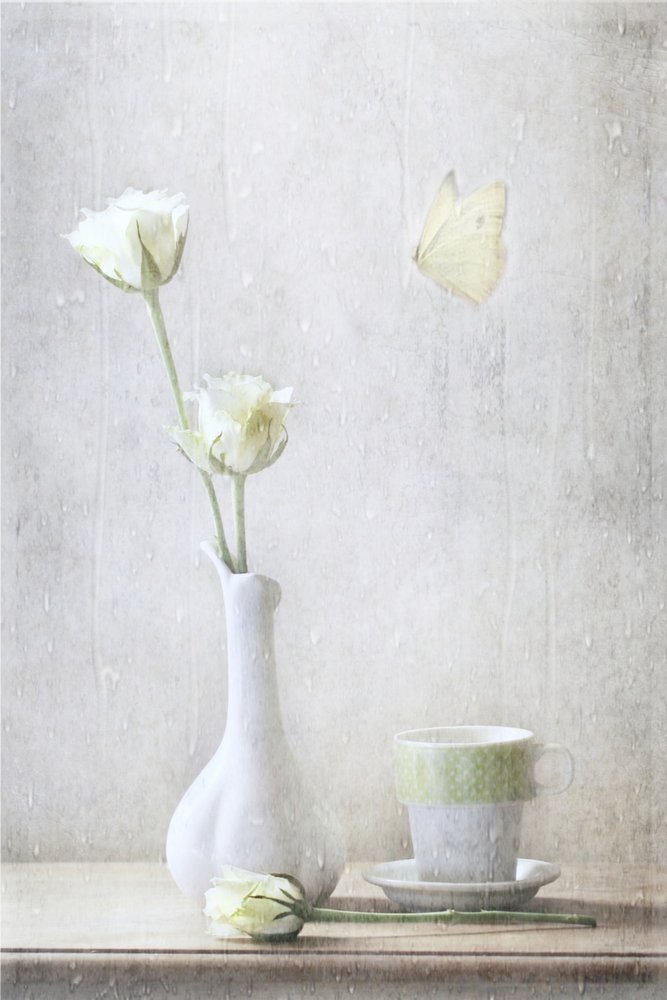 Delicate Roses and Butterfly by Delphine Devos
