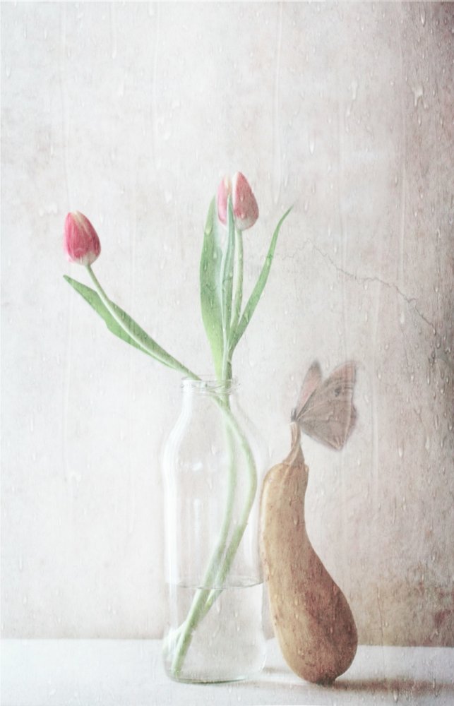 Delicate Tulips Still Life by Delphine Devos