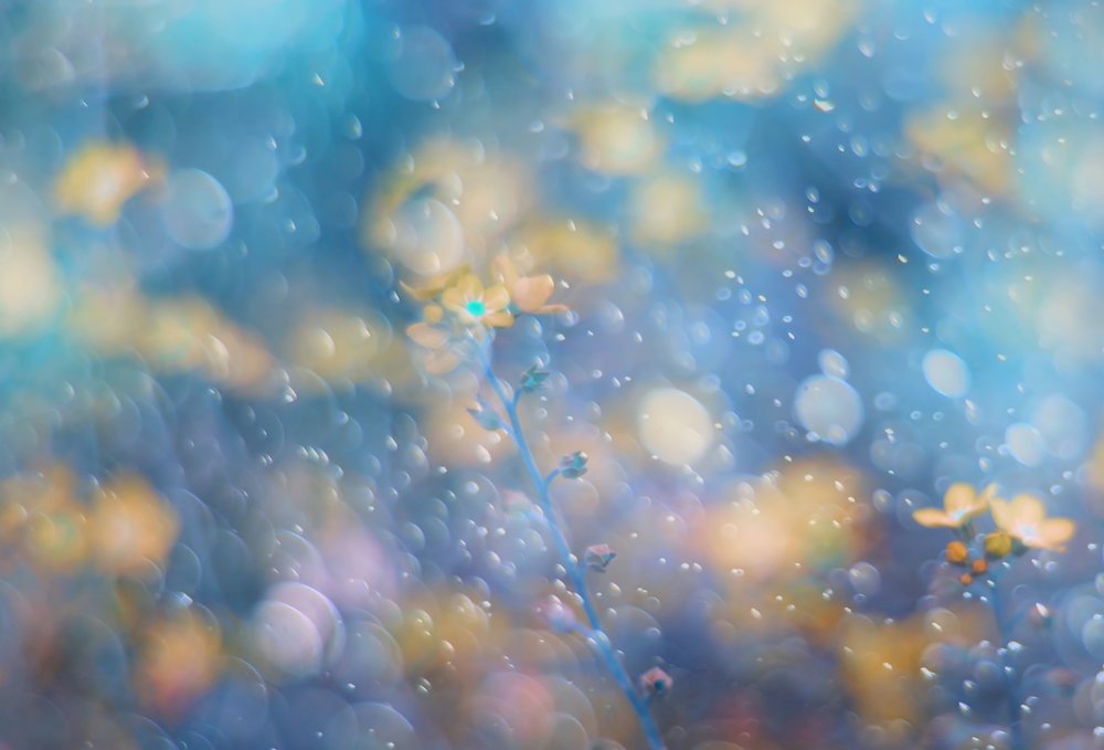 Dreamy Blue Floral Sparkle by Delphine Devos